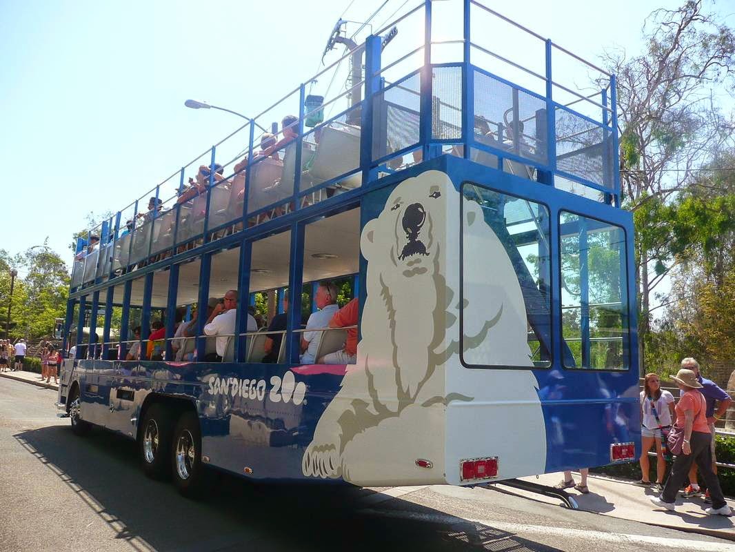 Blue and white double-decker tour bus with a large polar bear custom graphic on the rear