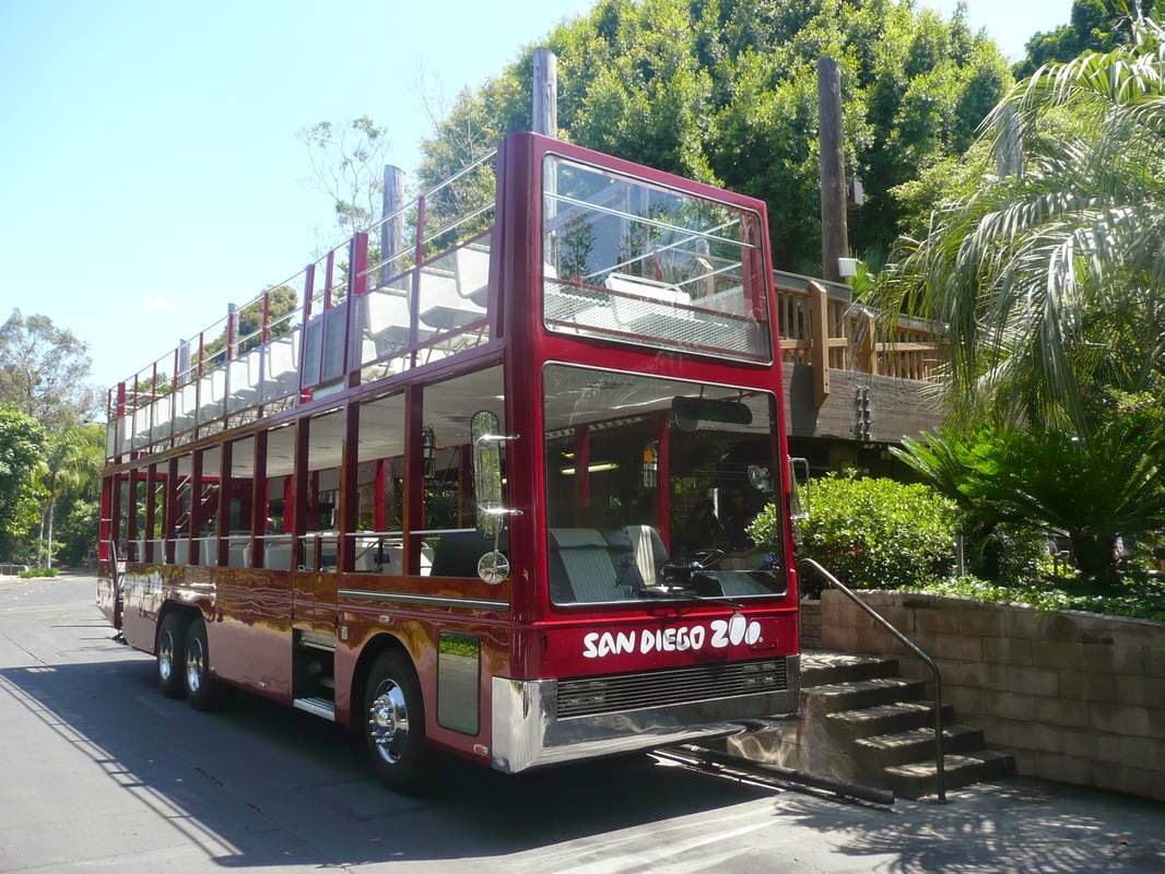 Red and white open-top double-decker sightseeing bus with custom lettering